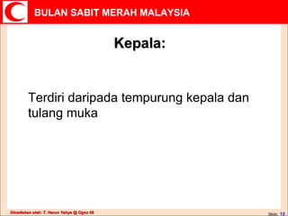 Kepala: Terdiri daripada tempurung kepala dan tulang muka 