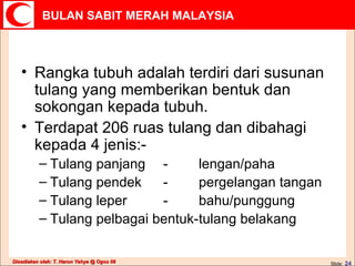 Rangka tubuh adalah terdiri dari susunan tulang yang memberikan bentuk dan sokongan kepada tubuh. Terdapat 206 ruas tulang dan dibahagi kepada 4 jenis:- Tulang panjang - lengan/paha Tulang pendek - pergelangan tangan Tulang leper - bahu/punggung Tulang pelbagai bentuk- tulang belakang 