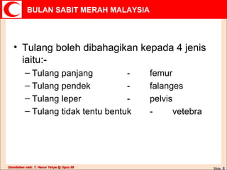 Tulang boleh dibahagikan kepada 4 jenis iaitu:- Tulang panjang  - femur Tulang pendek - falanges Tulang leper - pelvis Tulang tidak tentu bentuk - vetebra 
