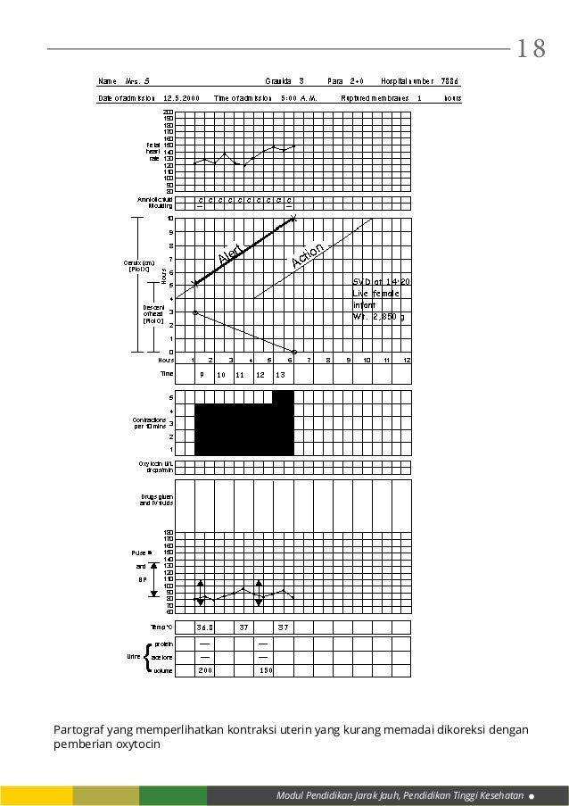 Modul 7 kb 1