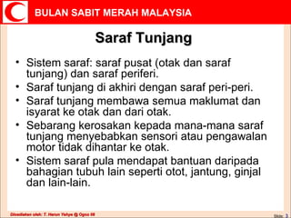 Saraf Tunjang Sistem saraf: saraf pusat (otak dan saraf tunjang) dan saraf periferi. Saraf tunjang di akhiri dengan saraf peri-peri. Saraf tunjang membawa semua maklumat dan isyarat ke otak dan dari otak. Sebarang kerosakan kepada mana-mana saraf tunjang menyebabkan sensori atau pengawalan motor tidak dihantar ke otak. Sistem saraf pula mendapat bantuan daripada bahagian tubuh lain seperti otot, jantung, ginjal dan lain-lain. 