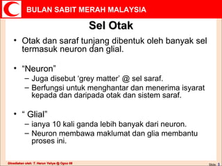 Sel Otak Otak dan saraf tunjang dibentuk oleh banyak sel termasuk neuron dan glial. “ Neuron”  Juga disebut ‘grey matter’ @ sel saraf. Berfungsi untuk menghantar dan menerima isyarat kepada dan daripada otak dan sistem saraf. “  Glial”  ianya 10 kali ganda lebih banyak dari neuron. Neuron membawa maklumat dan glia membantu proses ini. 