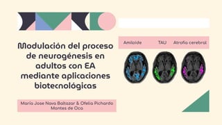 Modulación del proceso
de neurogénesis en
adultos con EA
mediante aplicaciones
biotecnológicas
María Jose Nava Baltazar & Ofelia Pichardo
Montes de Oca
Amiloide TAU Atroﬁa cerebral
 