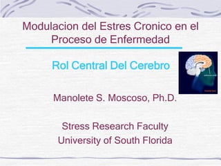 Modulacion del Estres Cronico en el
     Proceso de Enfermedad

     Rol Central Del Cerebro

      Manolete S. Moscoso, Ph.D.

        Stress Research Faculty
       University of South Florida
 