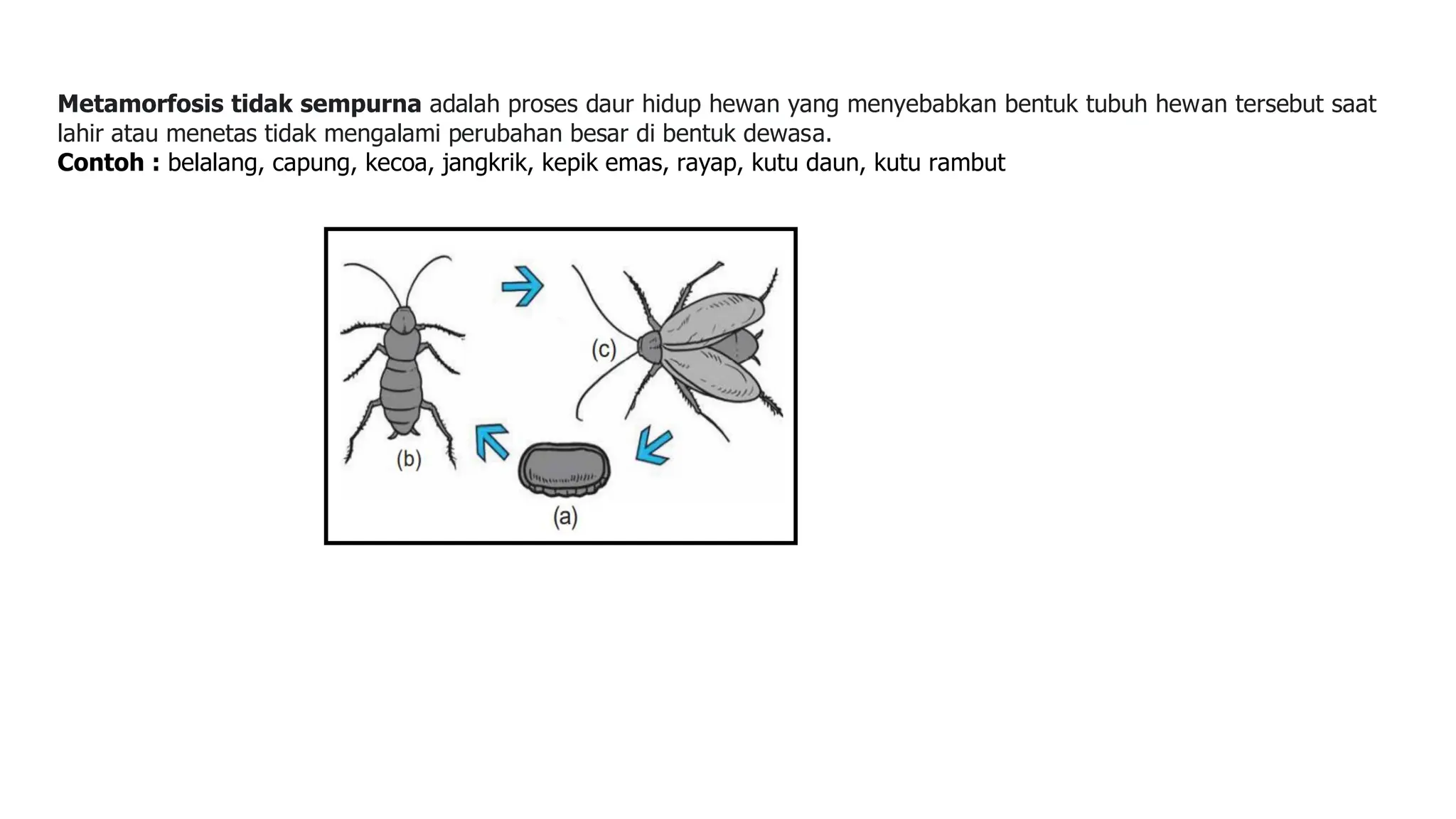 Modul ajar IPAS kelas 3 metamorfosis makhluk hidup.pdf