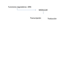 MODULAR
Funciones reguladoras ARN
TraducciónTranscripción
 