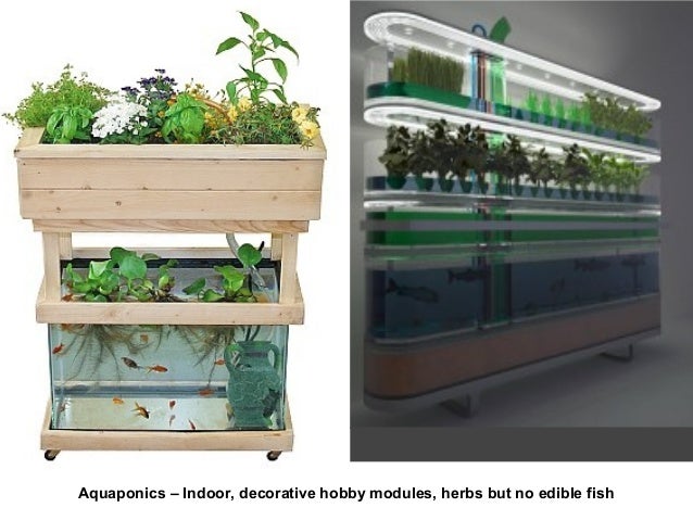 modular growth