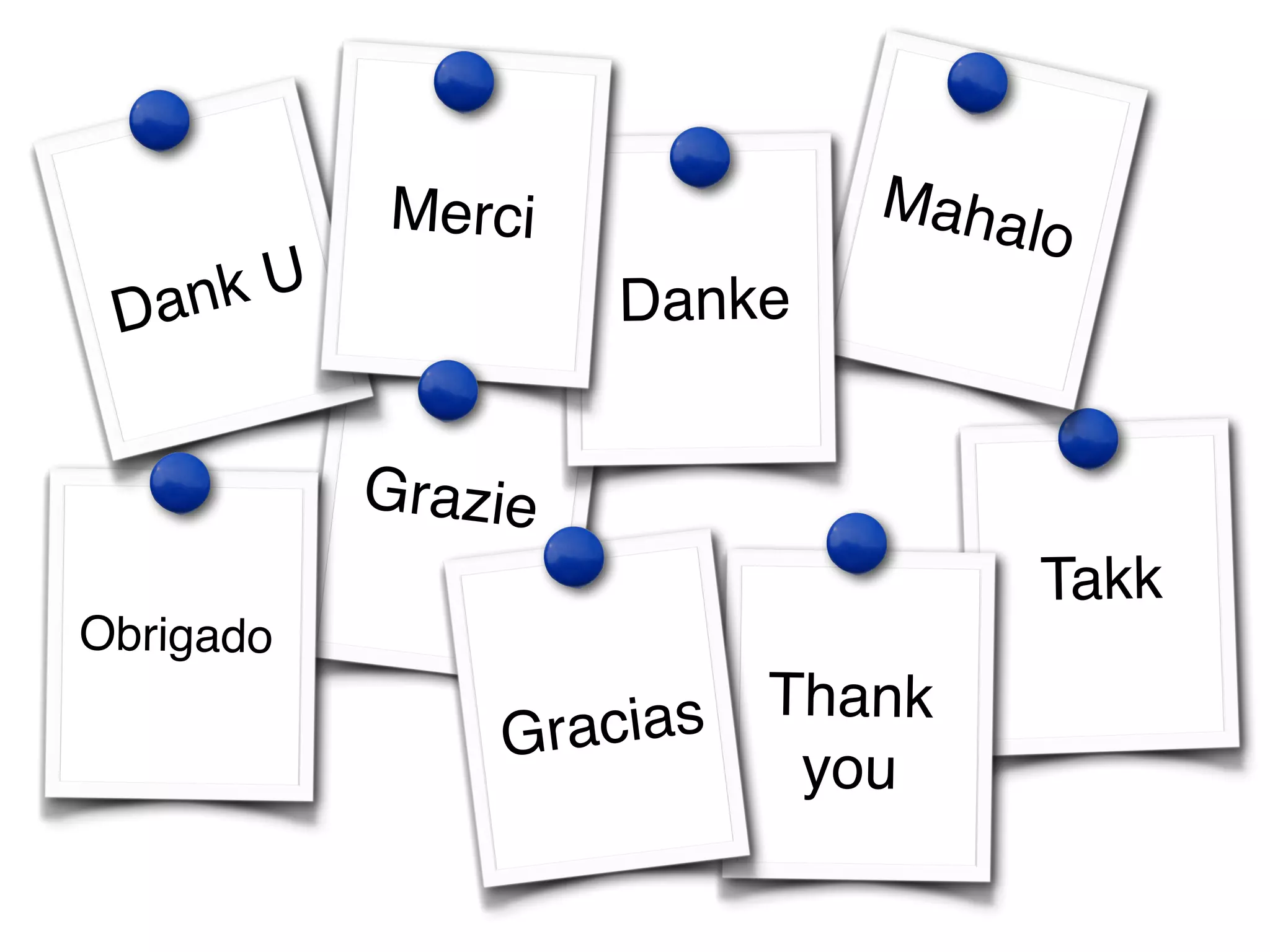 Takk 
Grazie 
Thank! 
you 
Obrigado 
Mahalo 
Danke 
Dank U 
Merci 
Gracias 
