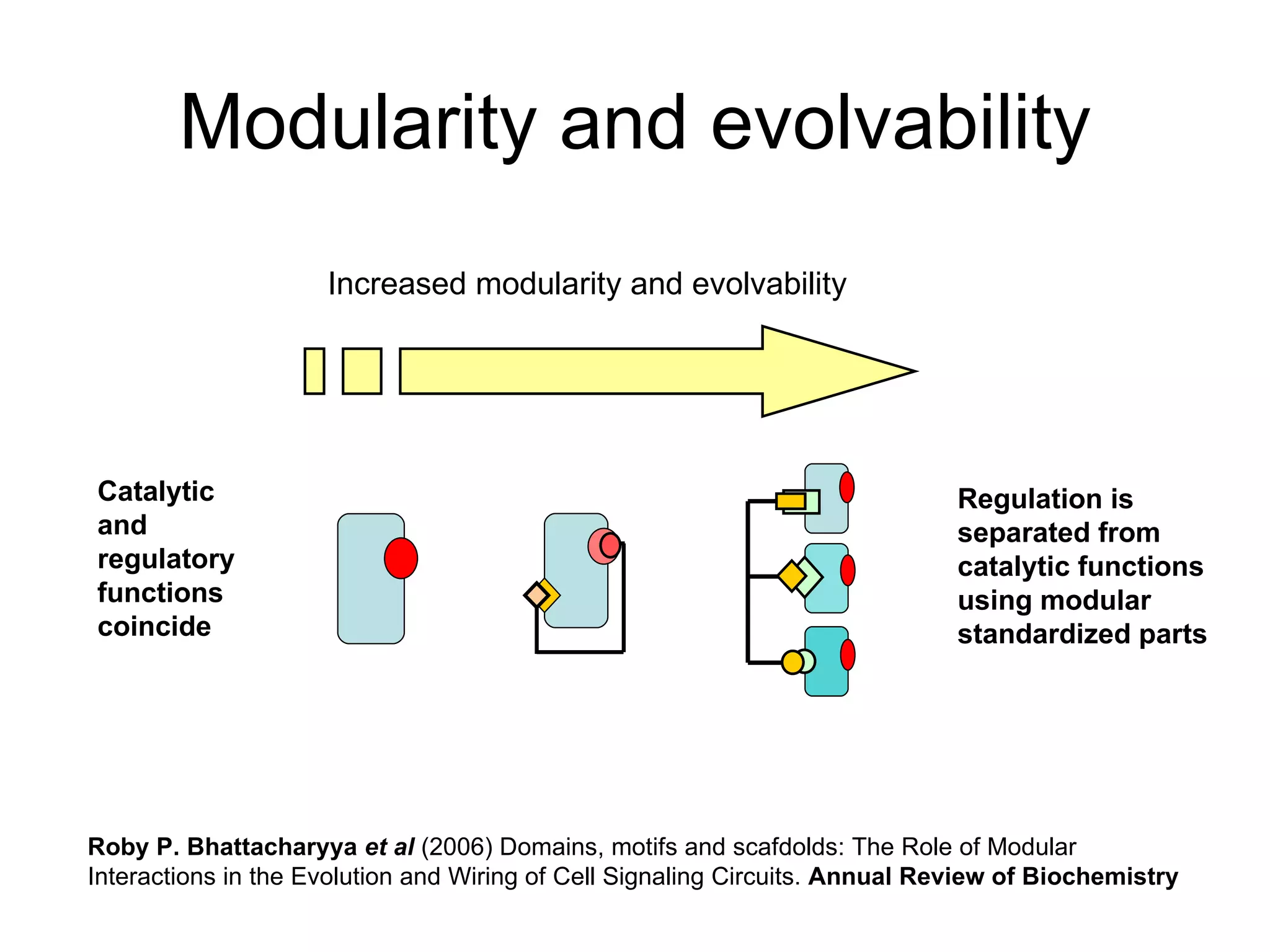 Modularity and evolvability Roby P. Bhattacharyya  et al  (2006) Domains, motifs and scafdolds: The Role of Modular Interactions in the Evolution and Wiring of Cell Signaling Circuits.  Annual Review of Biochemistry Catalytic and regulatory functions coincide Regulation is separated from catalytic functions using modular standardized parts Increased modularity and evolvability 