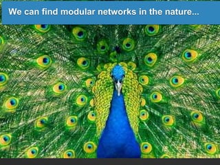 We can find modular networks in the nature...