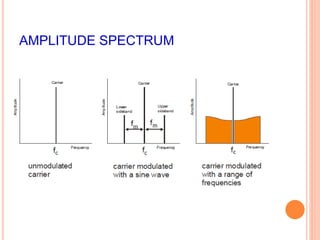 AMPLITUDE SPECTRUM 
 