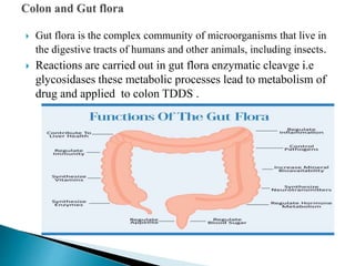  Gut flora is the complex community of microorganisms that live in
the digestive tracts of humans and other animals, including insects.
 Reactions are carried out in gut flora enzymatic cleavge i.e
glycosidases these metabolic processes lead to metabolism of
drug and applied to colon TDDS .
 