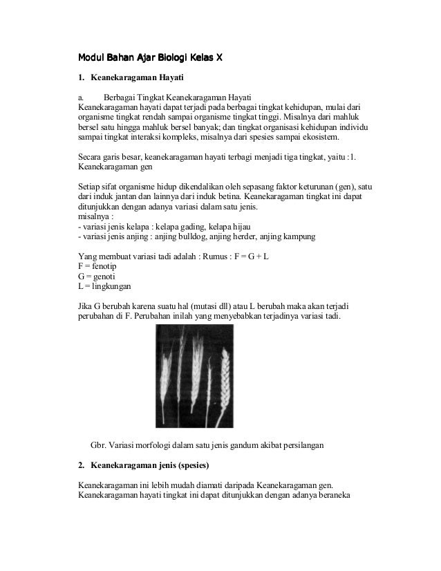 Modul Bahan Ajar Biologi Kelas X