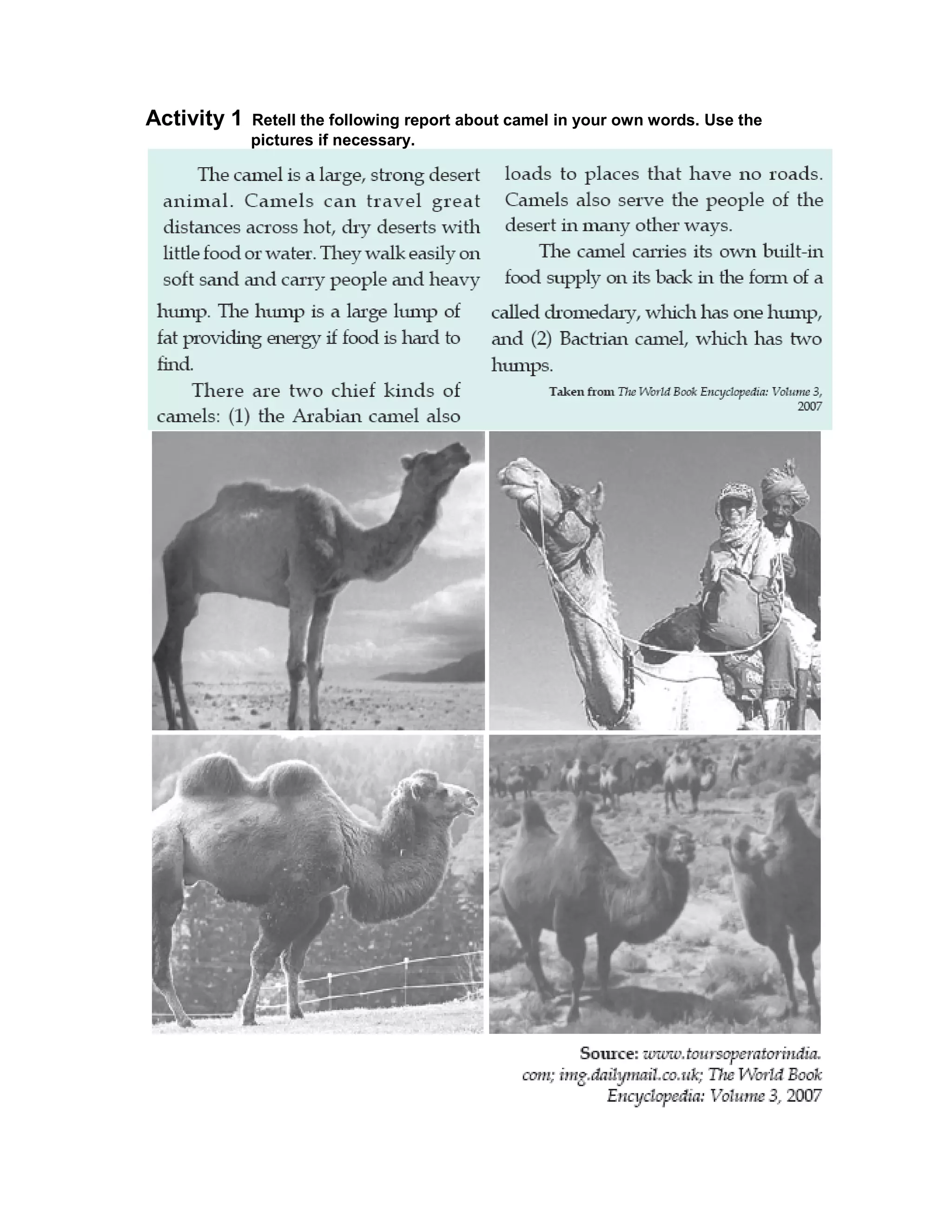 Activity 1   Retell the following report about camel in your own words. Use the
             pictures if necessary.
 