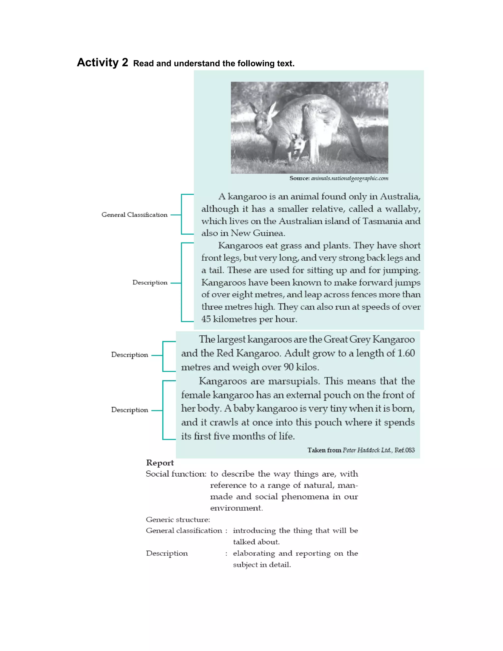 Activity 2   Read and understand the following text.
 