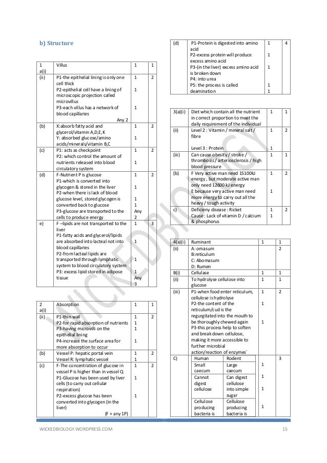Jawapan Lembaran Modul Sains Tingkatan 3  kebayapolosx