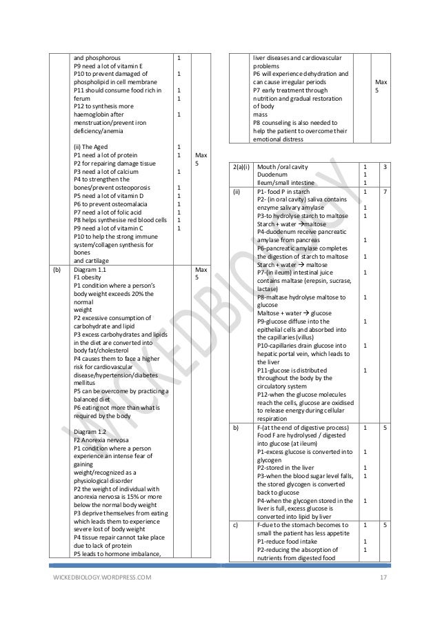 contoh soalan nombor perdana 95 contoh soalan nombor perdana 12