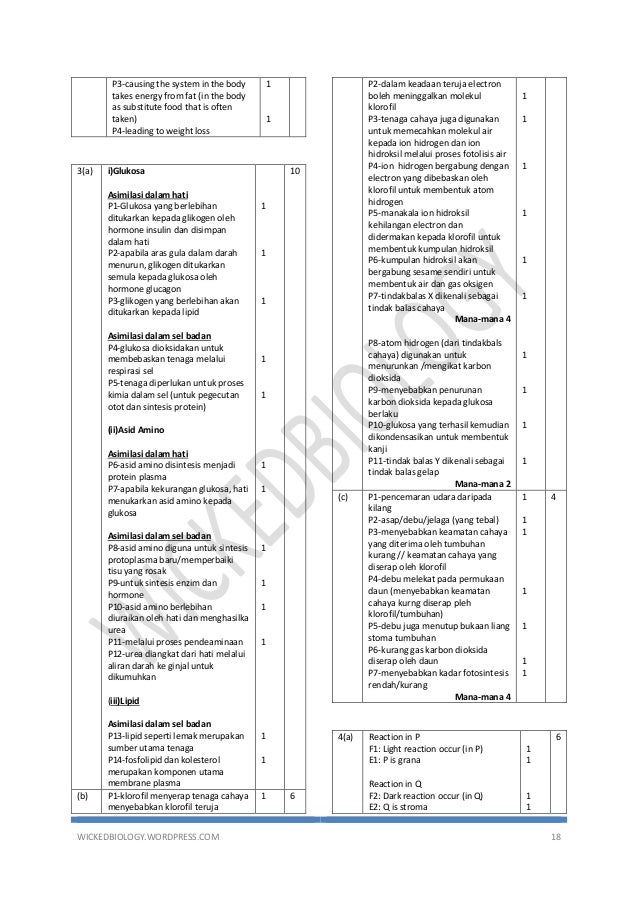 Modul Biologi Perfect Score 2017 Form 4 Jawapan