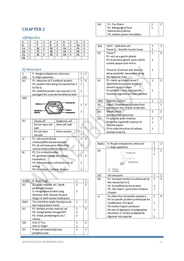 jawapan buku teks sains tingkatan 2 pdf 62 jawapan buku teks sains tingkatan 2 pdf 23