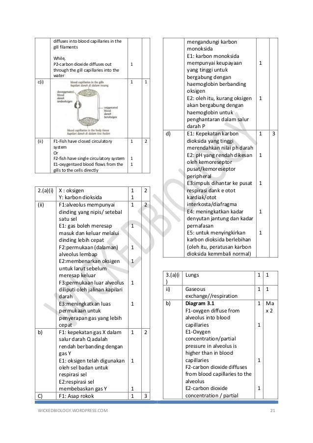 Modul Biologi Perfect Score 2017 Form 4 Jawapan
