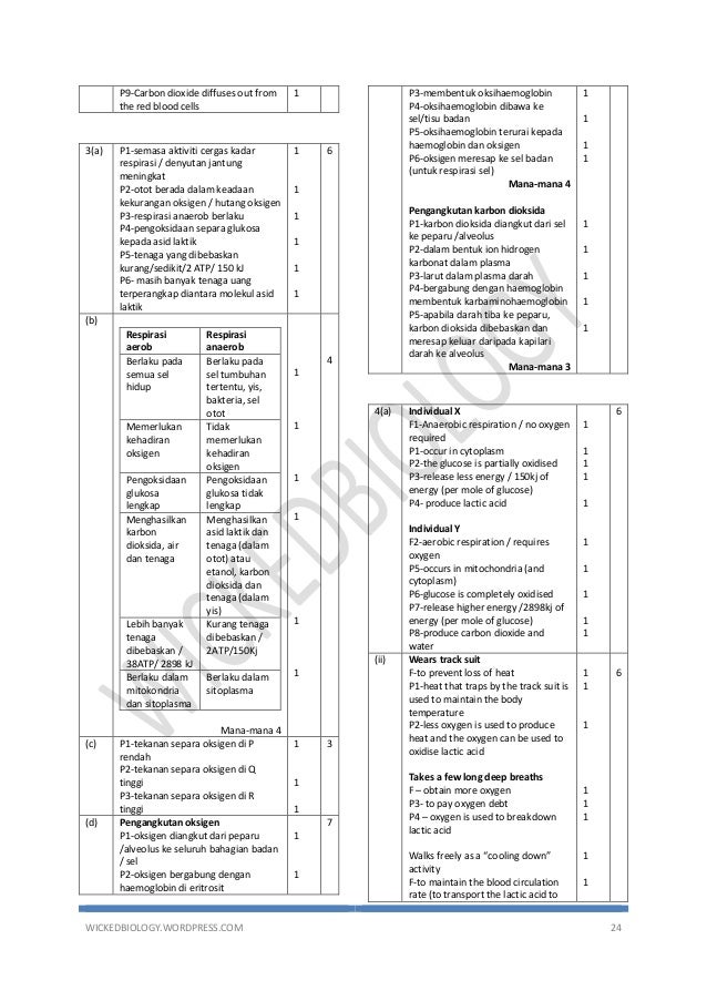 contoh soalan geografi kertas 1 tingkatan 4 57 contoh soalan geografi kertas 1 tingkatan 4 77