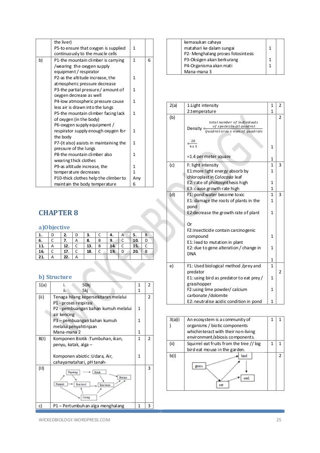 jawapan matematik tingkatan 3 power up 92 jawapan matematik tingkatan 3 power up 22