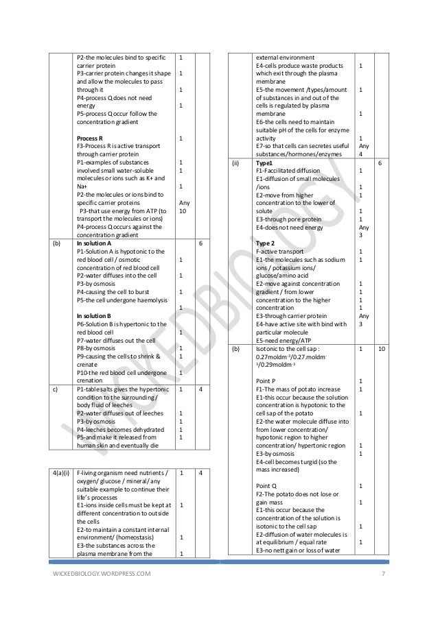 contoh soalan ujian ptd m41 69 contoh soalan ujian ptd m41 27