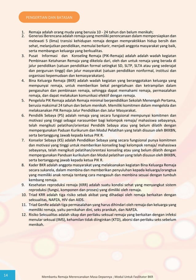 Modul Bina Keluarga Remaja (BKR) BKKBN Program Prioritas Nasional (Pro ...