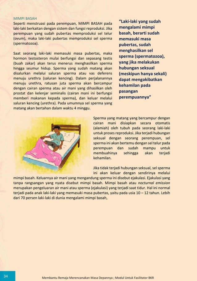 Modul Bina Keluarga Remaja (BKR) BKKBN Program Prioritas Nasional (Pro ...