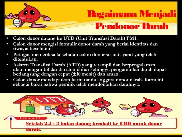 Materi Donor Darah PMR