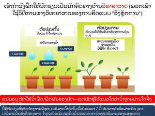 ເຮ
ົ າກາລ
ັ ງຝ
ຶ ກໃຫ
້ ນ
ັ ກຮຽນເປ
ັ ນນ
ັ ກຄ
ິ ດທາງດ
້ ານວ
ິ ທະຍາສາດ (ພວກເຂ
ົ າ
ໃຊ
້ ວ
ິ ທການທາງວ
ິ ທະຍາສາດຂອງການຄ
ິ ດແບບ "ອ
ິ ງຫ
ັ ກຖານ")
ແນ
່ ນອນ ເຮ
ົ າໃຫ
້ ນ
້ າພ
ື ດ/ພ
ື ດຜ
ົ ນຂອງເຮ
ົ າ—ແຕ
່ ເຮ
ົ າຮ
້ ໄດ
້ ແນວໃດວ
່ ານ
້ າຫາຍປານໃດຈ
ື່ ງ
ມຜ
ົ ນດຕ
່ ພ
ື ດ?
1 CAN H20
2 CANS H20
½ CAN H20
ນ
້ ຄ
ື ຕ
ົ ວປ
່ ຽນທ
່ ເຮ
ົ າຕ
້ ອງການພ
ິ ສດ: ປະລ
ິ ມານນ
້ າຕ
່ ຕ
ົ້ ນ/ມ
ື ້ ເປ
ັ ນເວລາ 7 ມ
ື ້ ນ
ັ ບຈາກວ
ັ ນທ
່ ເພາະເມ
ັ ດ (ແຕ
່
ປະລ
ິ ມານດ
ິ ນຄ
ົ ງທ
່ /ຂະໜາດ ໂຖ/ຊະນ
ິ ດເມ
ັ ດ/ຊະນ
ິ ດນ
້ າ/ຂະໜາດກະປ
໋ ອງ/ປະລ
ິ ມານຂອງແສງແດດ)
ຕ
ົ ວປ
່ ຽນຕ
ົ້ ນ
ຕ
ົ ວປ
່ ຽນ ທ
່ ຖ
ື ກປ
່ ຽນແປງ
ຕ
ົ ວປ
່ ຽນຕາມ
ຕ
ົ ວປ
່ ຽນທ
່ ໄດ
້ ຮ
ັ ບຜ
ົ ນກະທ
ົ ບຈາກການປ
່ ຽນ
ແປງ
ປະລ
ິ ມານຂອງນ
້ າ
ຂະໜາດຂອງພ
ື ດ
ຈານວນໃບ
ມຊວ
ິ ດ ຫ
ື ຕາຍ?
 