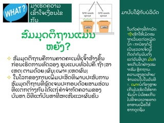 ມາປ
ັ ບໃຊ
້ ກ
ັ ບບລ
ິ ບ
ົ ດ
ມາເຮ
ັ ດຄວາມ
ເຂ
ົ້ າໃຈເງ
ື່ ອນໄຂ
ກ
ັ ນ
ໃນຕ
ົ ວຢ
່ າງທ
່ ການ
ົ ດ:
“ຖ
້ າເຮ
ົ າໃຫ
້ ເມ
ັ ດໝ
າກເລ
ັ່ ນແຕ
່ ລະເມ
ັ ດ
ນ
້ າ 1 ກະປ
໋ ອງຕ
່ ມ
ື ້
ເປ
ັ ນເວລາເຈ
ັ ດມ
ື ້
ຕ
ິ ດຕ
່ ກ
ັ ນນ
ັ ບຕ
ັ້ ງ
ແຕ
່ ວ
ັ ນທ
່ ປກ ມ
ັ ນກ
ຈະເຕບໂຕຢ
່ າງເໝ
າະສ
ົ ມ ຫ
ັ ກຖານ:
ຄວາມສງສ
ຸ ດທ
້ າຍ/
ຈານວນໃບໃນວ
ັ ນທ
7. ເພາະບ
່ ຕ
້ ອງຫາຍ
ເກນໄປເຮ
ັ ດໃຫ
້ ຮາກ
ຈ
ົ ມນ
້ າ ບ
່ ນ
້ ອຍເກນ
ໄປທ
່ ຈະລະລາຍທາດ
ອາຫານເພ
ື່ ອໃຫ
້
ຮາກດດຊ
ຶ ມ
ສ
ົ ມມ
ຸ ດຕ
ິ ຖານແມ
່ ນ
ຫຍ
ັ ງ?
 ສ
ົ ມມ
ຸ ດຕ
ິ ຖານຄ
ື ການຄາດຄະເນທ
່ ເຈ
ົ້ າສ
້ າງຂ
ຶ ້ ນ
ກ
່ ອນເຮ
ັ ດການທ
ົ ດລອງ. ຮບແບບທ
ົ່ ວໄປຄ
ື : ຖ
້ າ [ສາ
ເຫດ] ຕາມດ
້ ວຍ [ຜ
ົ ນ] ເພາະ [ເຫດຜ
ົ ນ]
 ໃນໂລກຂອງການເພ
່ ມປະສ
ິ ດທ
ິ ພາບປະສ
ົ ບການ
ສ
ົ ມມ
ຸ ດຕ
ິ ຖານທ
່ ຊ
ັ ດເຈນປະກອບດ
້ ວຍສາມສ
່ ວນ
ທ
່ ແຕກຕ
່ າງກ
ັ ນ ໄດ
້ ແກ
່ ຄາຈາກ
ັ ດຄວາມຂອງ
ບ
ັ ນຫາ, ວ
ິ ທແກ
້ ບ
ັ ນຫາທ
່ ສະເໜແລະຜ
ົ ນຮ
ັ ບ
 