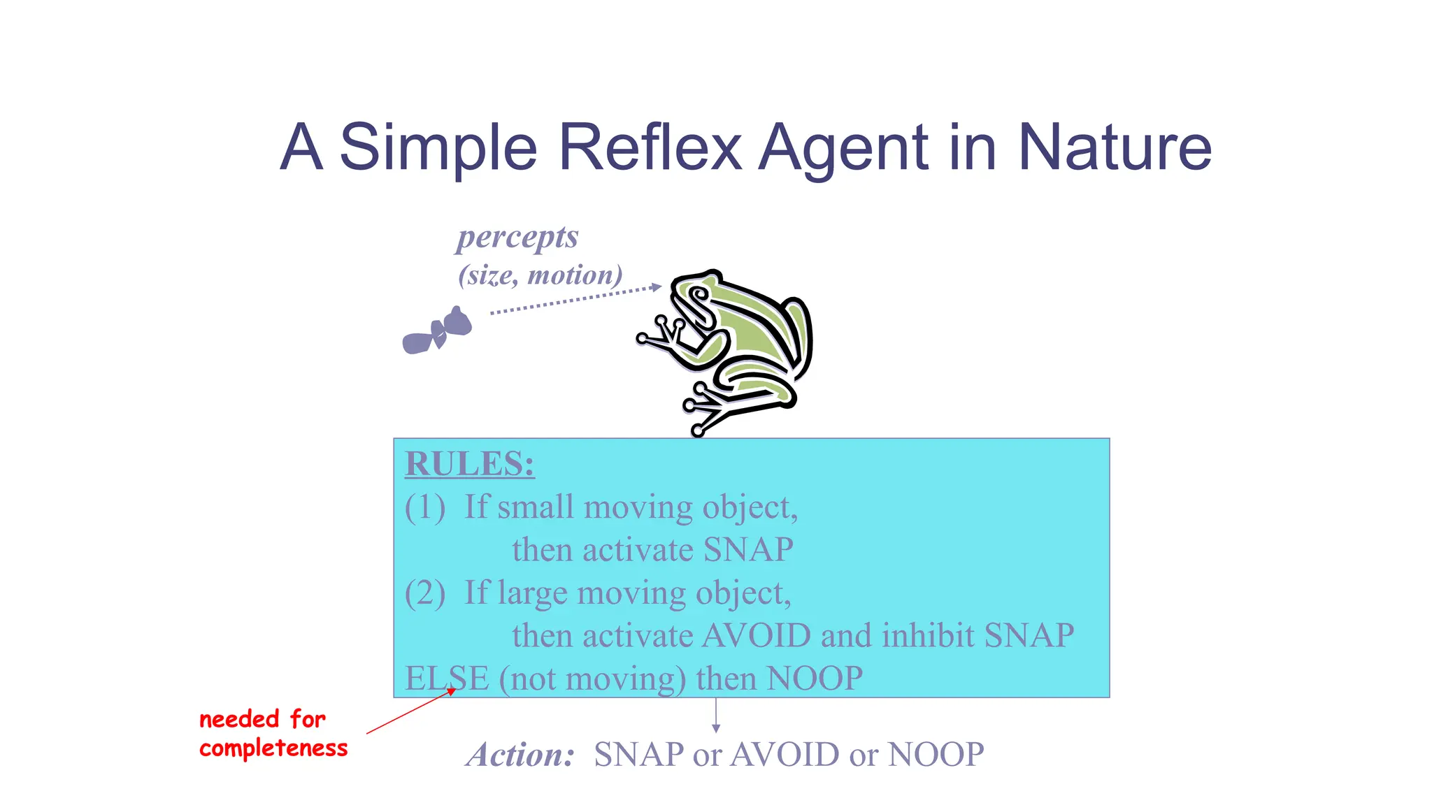 A Simple Reflex Agent in Nature
percepts
(size, motion)
RULES:
(1) If small moving object,
then activate SNAP
(2) If large moving object,
then activate AVOID and inhibit SNAP
ELSE (not moving) then NOOP
Action: SNAP or AVOID or NOOP
needed for
completeness
 