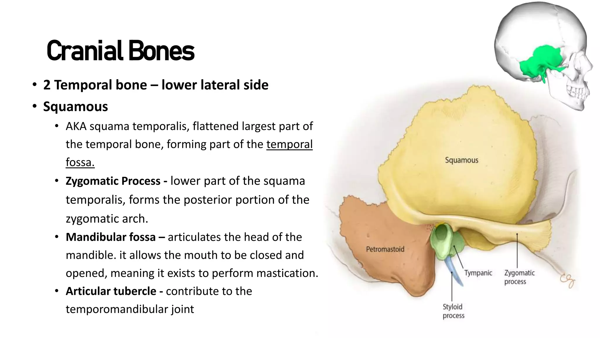 Module-1-Bones-of-the-Skull.pptx