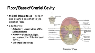 Module-1-Bones-of-the-Skull.pptx