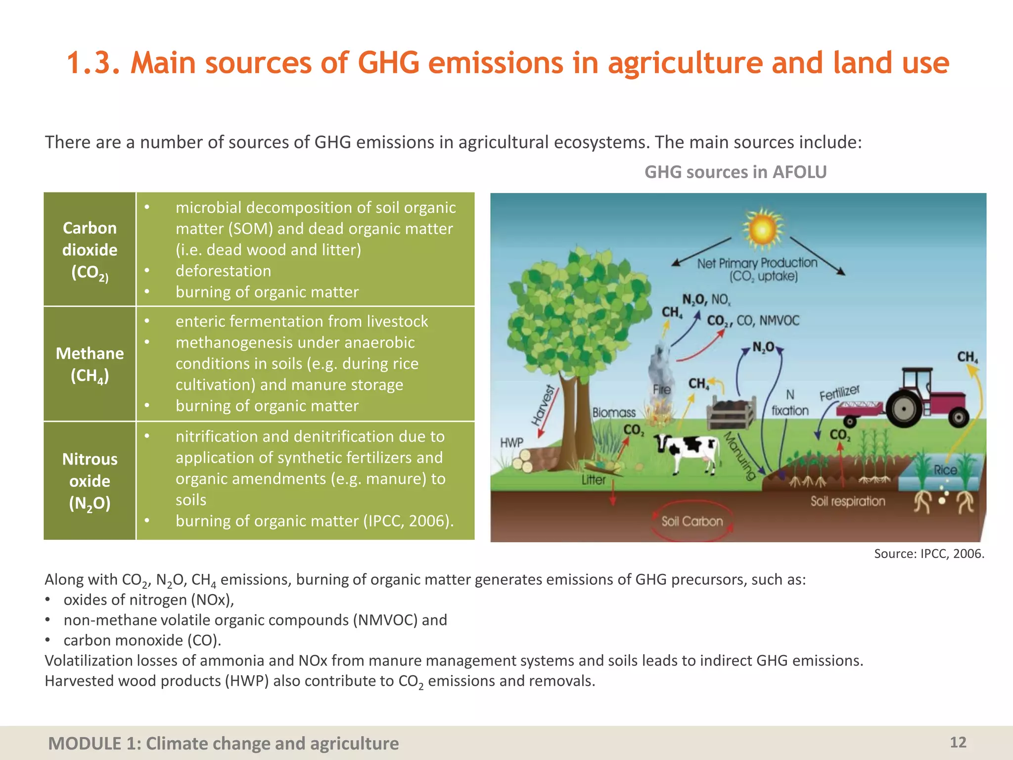 MODULE 1: Climate change and agriculture
1.3. Main sources of GHG emissions in agriculture and land use
There are a number of sources of GHG emissions in agricultural ecosystems. The main sources include:
12
Source: IPCC, 2006.
Along with CO2, N2O, CH4 emissions, burning of organic matter generates emissions of GHG precursors, such as:
• oxides of nitrogen (NOx),
• non-methane volatile organic compounds (NMVOC) and
• carbon monoxide (CO).
Volatilization losses of ammonia and NOx from manure management systems and soils leads to indirect GHG emissions.
Harvested wood products (HWP) also contribute to CO2 emissions and removals.
Carbon
dioxide
(CO2)
• microbial decomposition of soil organic
matter (SOM) and dead organic matter
(i.e. dead wood and litter)
• deforestation
• burning of organic matter
Methane
(CH4)
• enteric fermentation from livestock
• methanogenesis under anaerobic
conditions in soils (e.g. during rice
cultivation) and manure storage
• burning of organic matter
Nitrous
oxide
(N2O)
• nitrification and denitrification due to
application of synthetic fertilizers and
organic amendments (e.g. manure) to
soils
• burning of organic matter (IPCC, 2006).
GHG sources in AFOLU
 