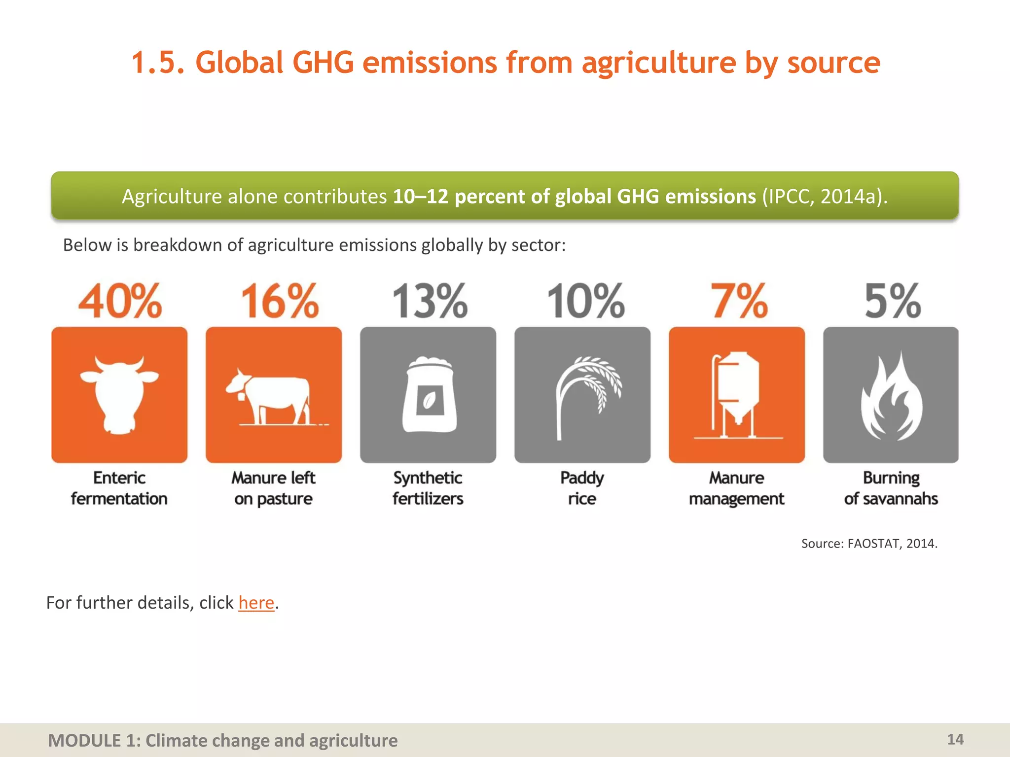 MODULE 1: Climate change and agriculture
1.5. Global GHG emissions from agriculture by source
14
Source: FAOSTAT, 2014.
Agriculture alone contributes 10–12 percent of global GHG emissions (IPCC, 2014a).
For further details, click here.
Below is breakdown of agriculture emissions globally by sector:
 