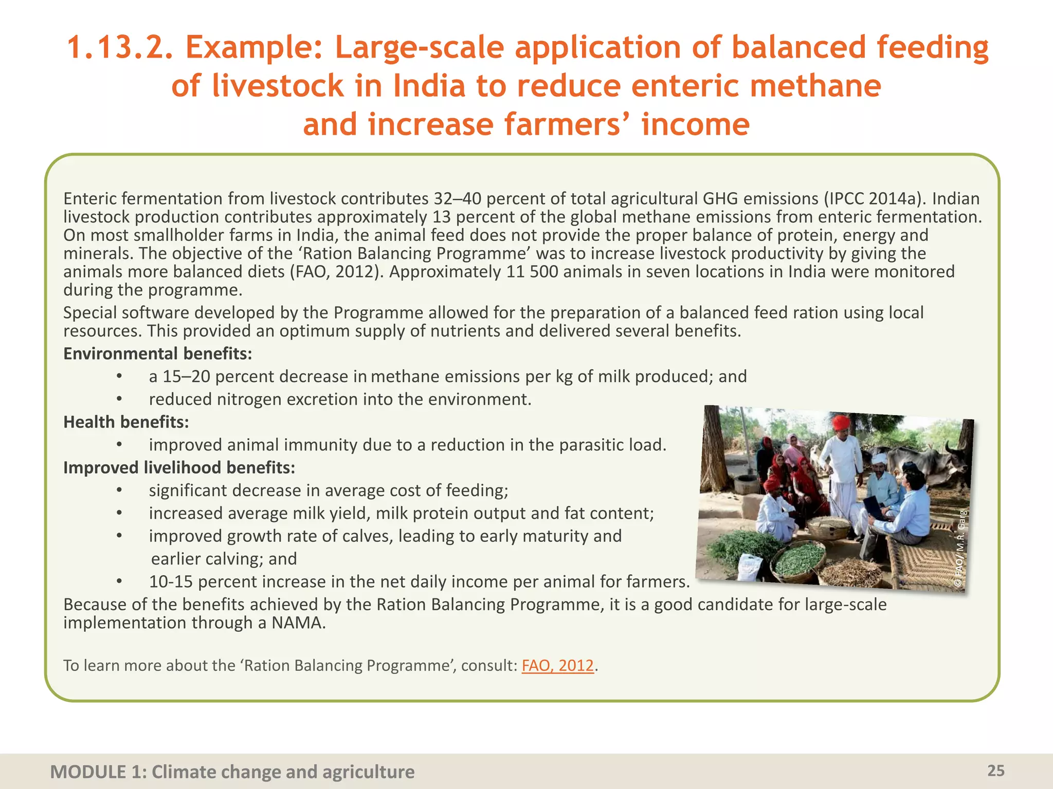 MODULE 1: Climate change and agriculture
1.13.2. Example: Large-scale application of balanced feeding
of livestock in India to reduce enteric methane
and increase farmers’ income
Enteric fermentation from livestock contributes 32─40 percent of total agricultural GHG emissions (IPCC 2014a). Indian
livestock production contributes approximately 13 percent of the global methane emissions from enteric fermentation.
On most smallholder farms in India, the animal feed does not provide the proper balance of protein, energy and
minerals. The objective of the ‘Ration Balancing Programme’ was to increase livestock productivity by giving the
animals more balanced diets (FAO, 2012). Approximately 11 500 animals in seven locations in India were monitored
during the programme.
Special software developed by the Programme allowed for the preparation of a balanced feed ration using local
resources. This provided an optimum supply of nutrients and delivered several benefits.
Environmental benefits:
• a 15–20 percent decrease in methane emissions per kg of milk produced; and
• reduced nitrogen excretion into the environment.
Health benefits:
• improved animal immunity due to a reduction in the parasitic load.
Improved livelihood benefits:
• significant decrease in average cost of feeding;
• increased average milk yield, milk protein output and fat content;
• improved growth rate of calves, leading to early maturity and
earlier calving; and
• 10-15 percent increase in the net daily income per animal for farmers.
Because of the benefits achieved by the Ration Balancing Programme, it is a good candidate for large-scale
implementation through a NAMA.
To learn more about the ‘Ration Balancing Programme’, consult: FAO, 2012.
25
 