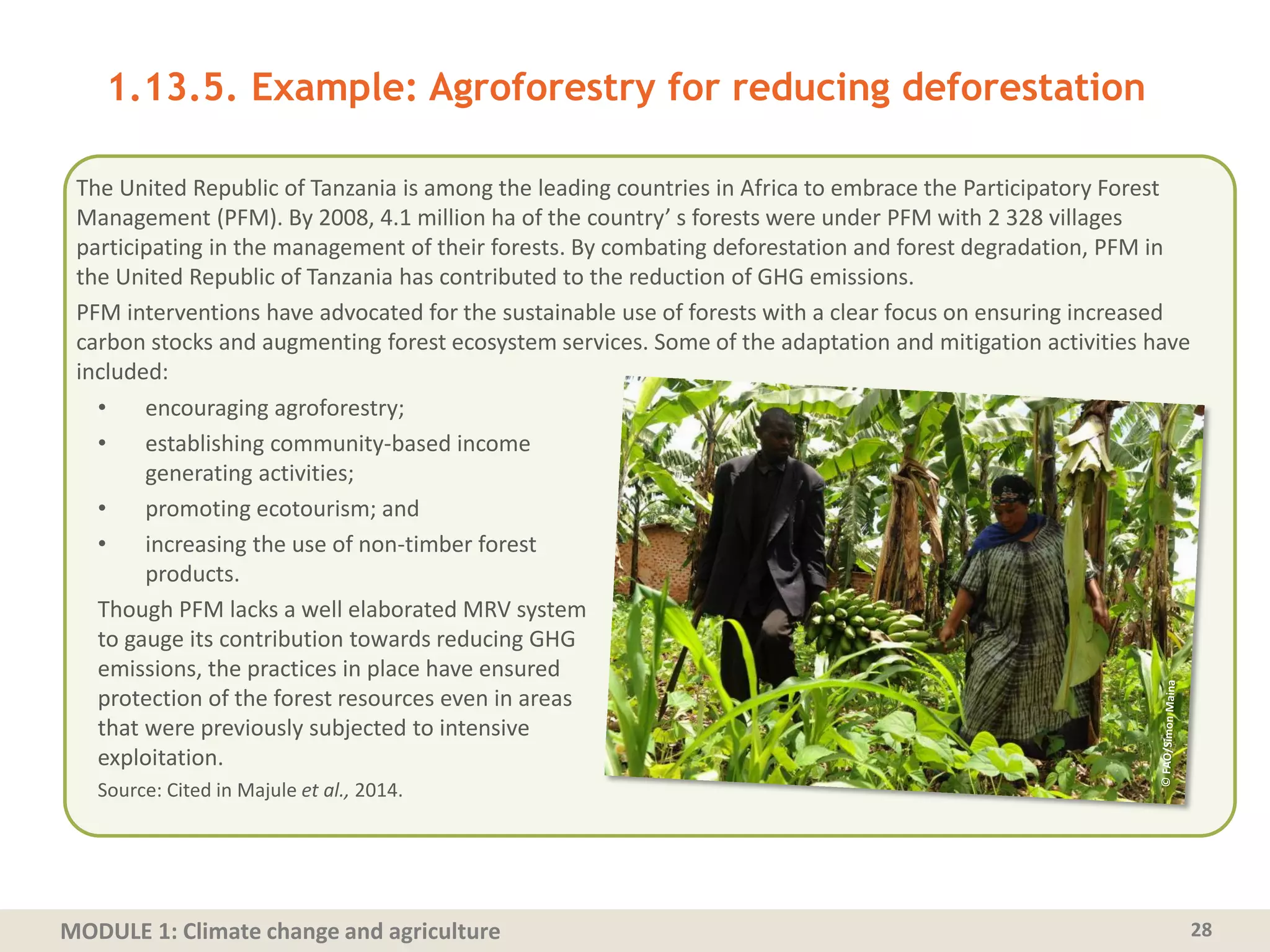 MODULE 1: Climate change and agriculture 28
1.13.5. Example: Agroforestry for reducing deforestation
The United Republic of Tanzania is among the leading countries in Africa to embrace the Participatory Forest
Management (PFM). By 2008, 4.1 million ha of the country’ s forests were under PFM with 2 328 villages
participating in the management of their forests. By combating deforestation and forest degradation, PFM in
the United Republic of Tanzania has contributed to the reduction of GHG emissions.
PFM interventions have advocated for the sustainable use of forests with a clear focus on ensuring increased
carbon stocks and augmenting forest ecosystem services. Some of the adaptation and mitigation activities have
included:
• encouraging agroforestry;
• establishing community-based income
generating activities;
• promoting ecotourism; and
• increasing the use of non-timber forest
products.
Though PFM lacks a well elaborated MRV system
to gauge its contribution towards reducing GHG
emissions, the practices in place have ensured
protection of the forest resources even in areas
that were previously subjected to intensive
exploitation.
Source: Cited in Majule et al., 2014.
 