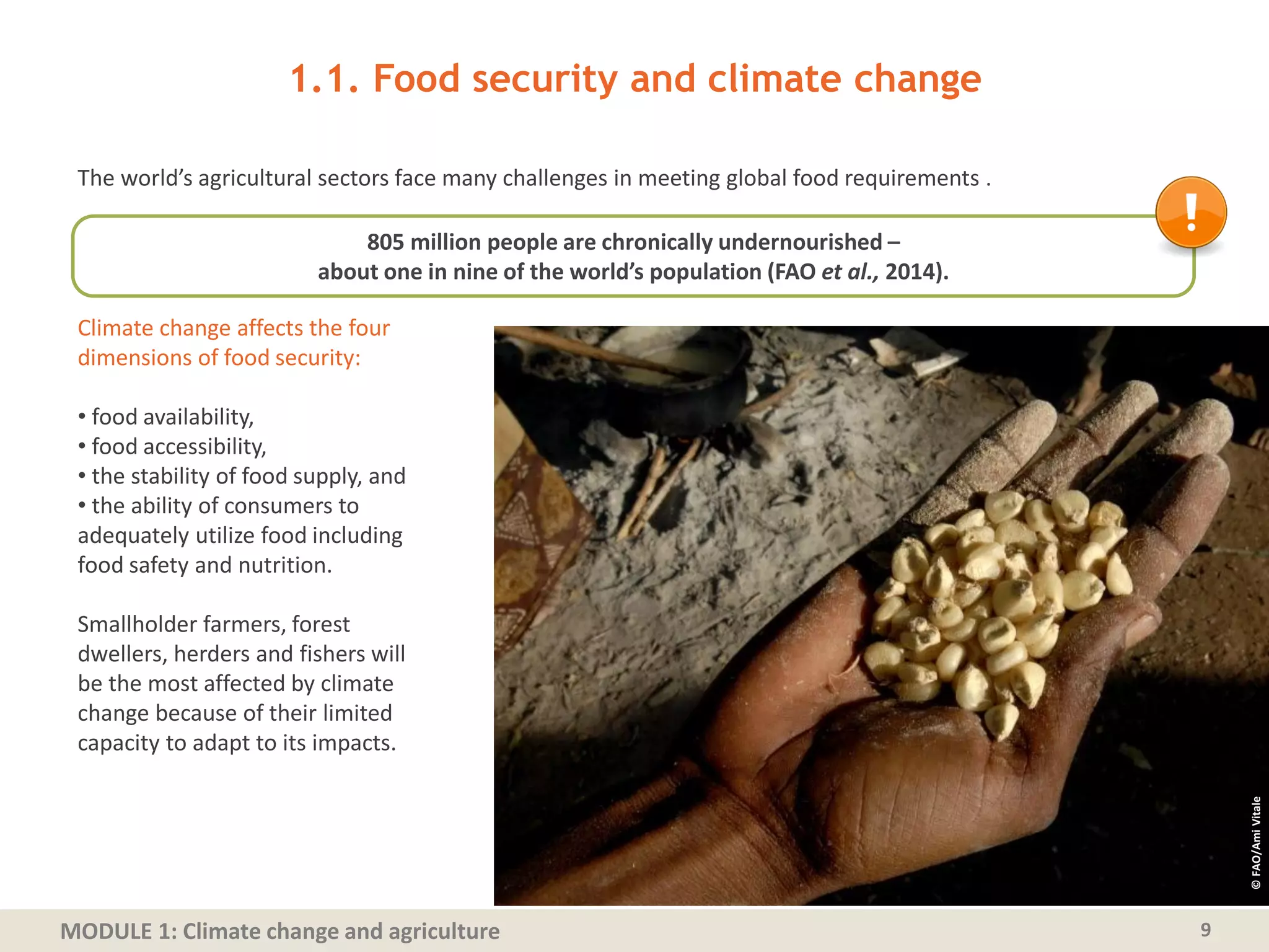 MODULE 1: Climate change and agriculture
The world’s agricultural sectors face many challenges in meeting global food requirements .
1.1. Food security and climate change
9
Climate change affects the four
dimensions of food security:
• food availability,
• food accessibility,
• the stability of food supply, and
• the ability of consumers to
adequately utilize food including
food safety and nutrition.
Smallholder farmers, forest
dwellers, herders and fishers will
be the most affected by climate
change because of their limited
capacity to adapt to its impacts.
©FAO/AmiVitale
805 million people are chronically undernourished –
about one in nine of the world’s population (FAO et al., 2014).
 