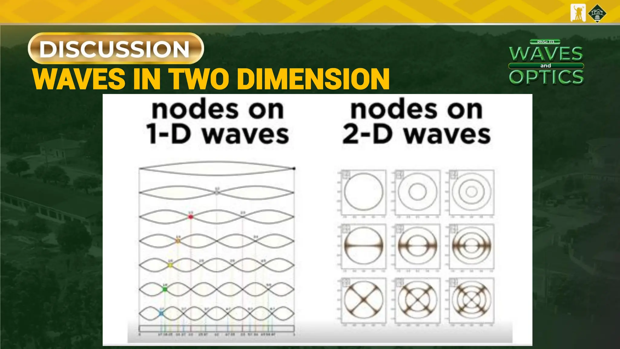 WAVES IN TWO DIMENSION
 