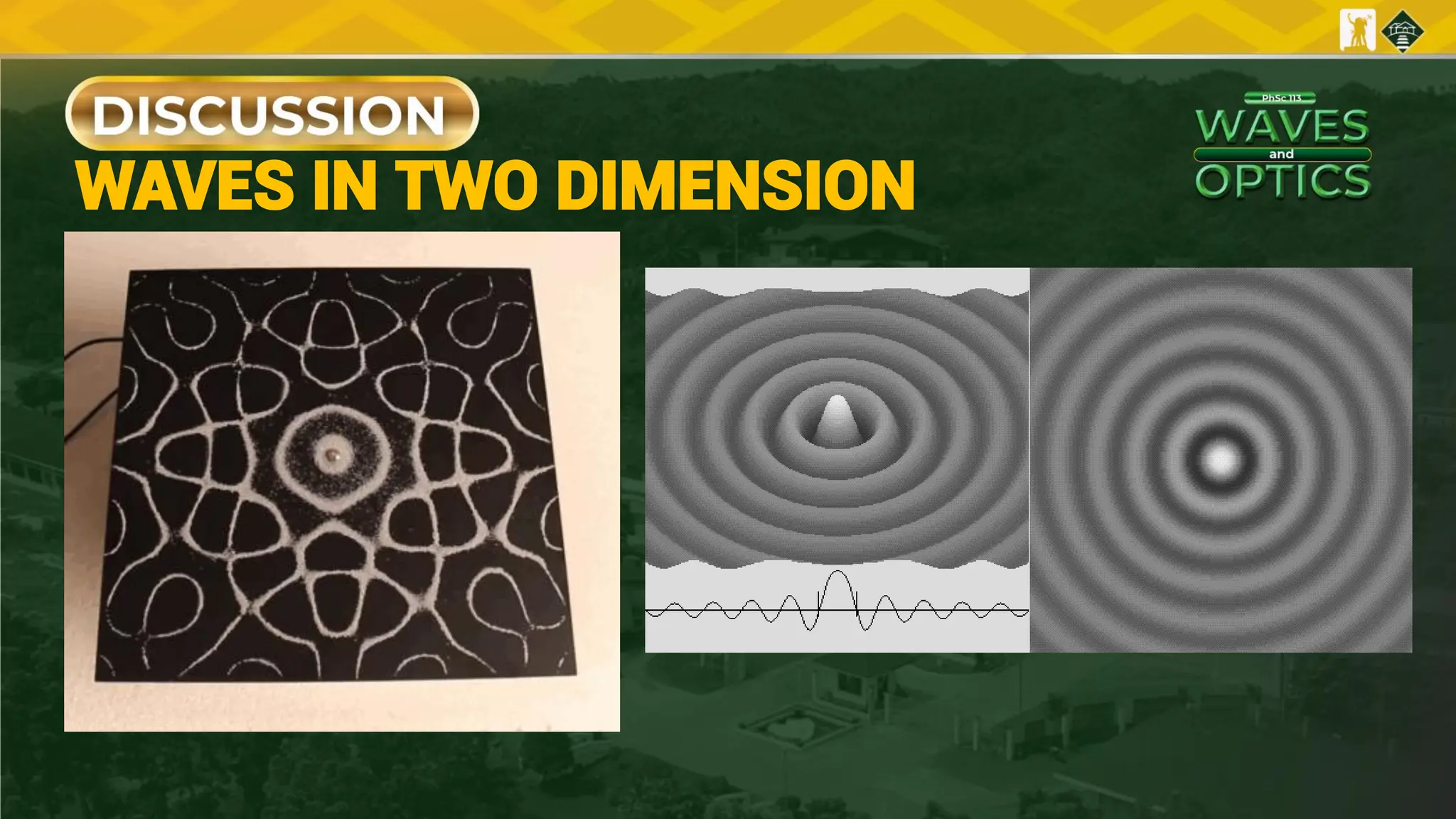 WAVES IN TWO DIMENSION
 