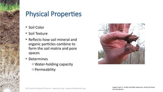 Soil Matrix Color module-1-soil-basics-and-physical-properties.pptx
