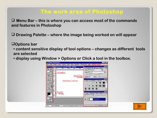 The work area of Photoshop
 Menu Bar – this is where you can access most of the commands
and features in Photoshop
 Drawing Palette – where the image being worked on will appear
Options bar
• content sensitive display of tool options – changes as different tools
are selected
• display using Window > Options or Click a tool in the toolbox.
 