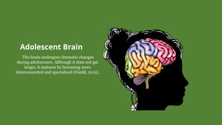 Adolescent Brain
The brain undergoes dramatic changes
during adolescence. Although it does not get
larger, it matures by becoming more
interconnected and specialized (Giedd, 2015).
 