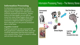 Information Processing
In information processing also we do the
same kind of complex action. Though the
diagram clearly explains how information is
received, processed and stored etc., human
brain is not that simple, you are still not
aware how many things happen about which
you do not even know anything and further
research at a high level will be required to
know what goes on in the process mentioned
above in the brain.
Cognitive Control
Cognitive processes are also concerned with
how people learn, understand, think, store and
recall the information that has been acquired
over a period of time. You go to school or college
and you learn many things
 