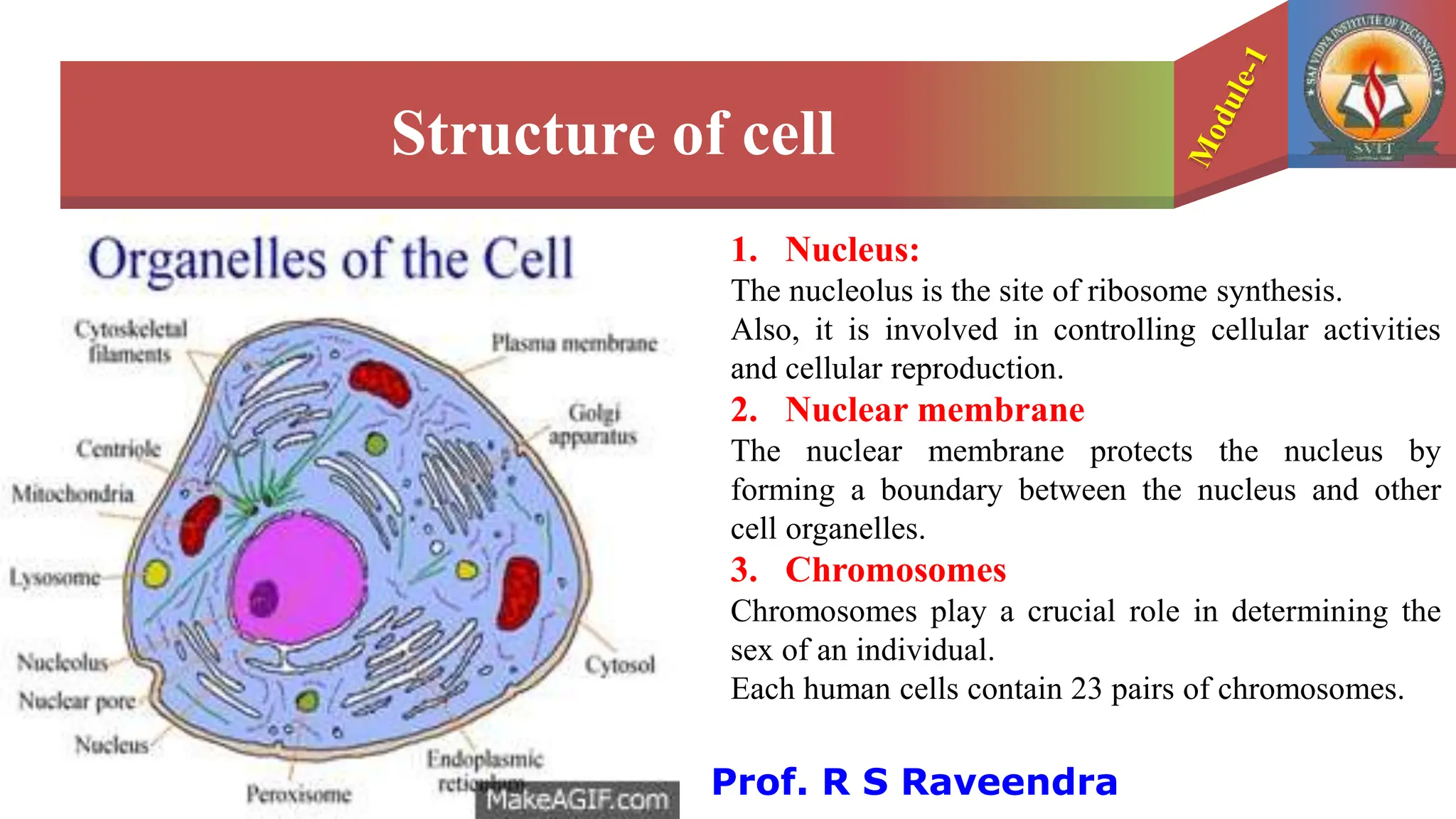 Module-1 Bio for Engineering, CELL-Basic unit of life | PPTX