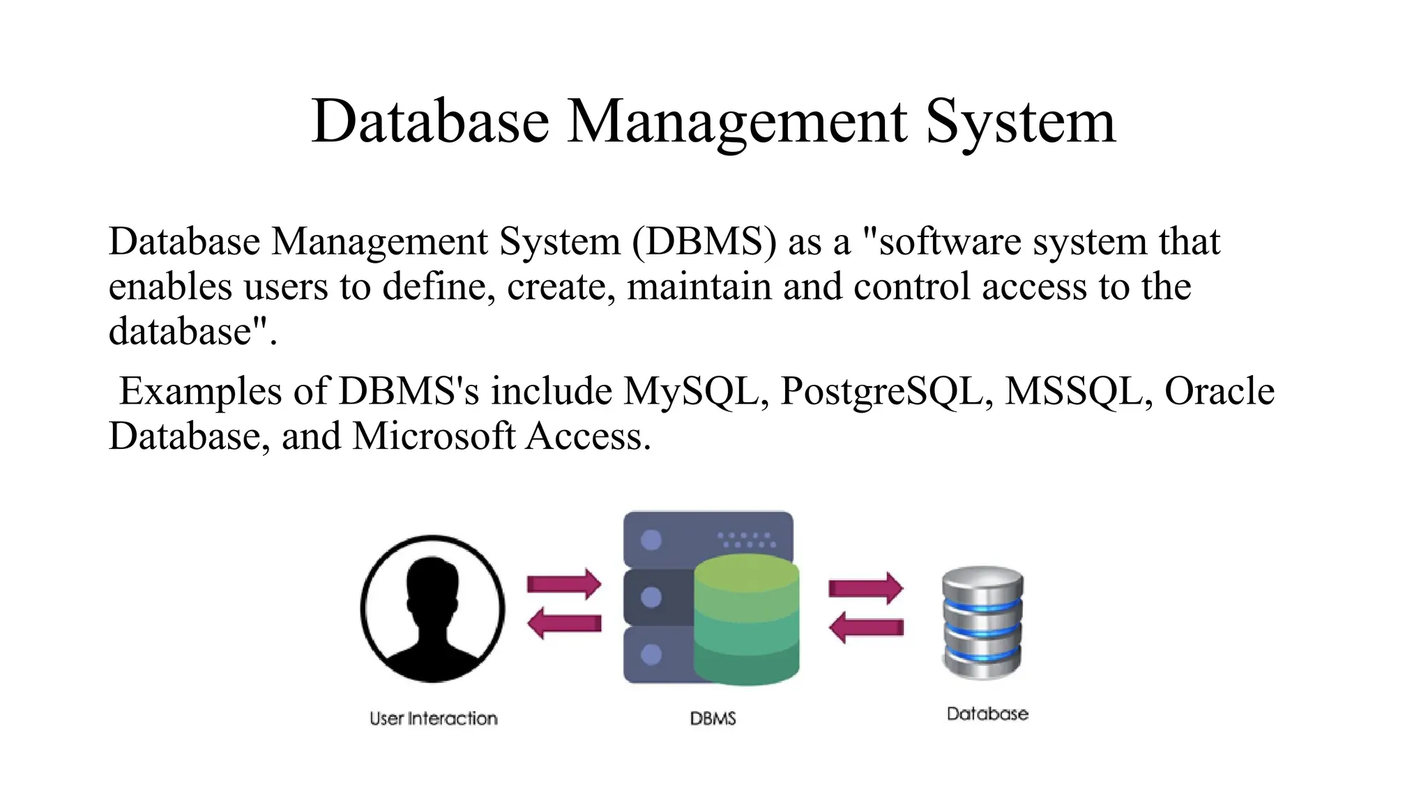 Basics of DBMS - Traditional File System | PDF
