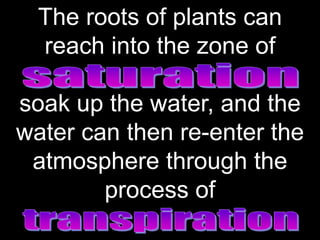 The roots of plants can
reach into the zone of
soak up the water, and the
water can then re-enter the
atmosphere through the
process of
BITS Edu Campus Prof. Ankit Patel
 
