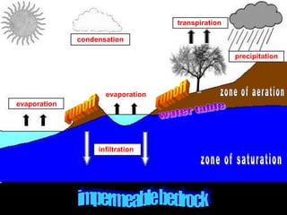 evaporation
condensation
infiltration
transpiration
precipitation
evaporation
BITS Edu Campus Prof. Ankit Patel
 